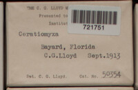 Image Associated With the Occurence